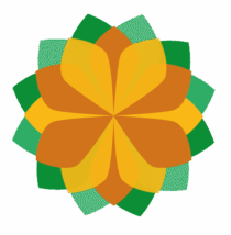 South West Care Homes