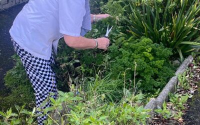 From Garden to Plate