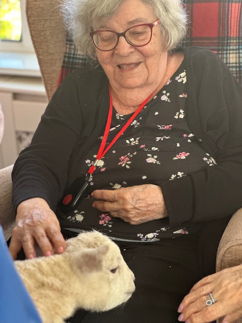 Another female resident patting a white lamb