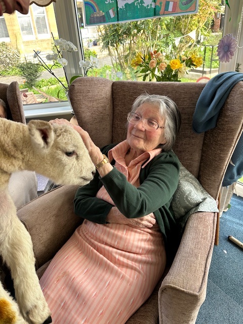 Female resident patting a white lamb