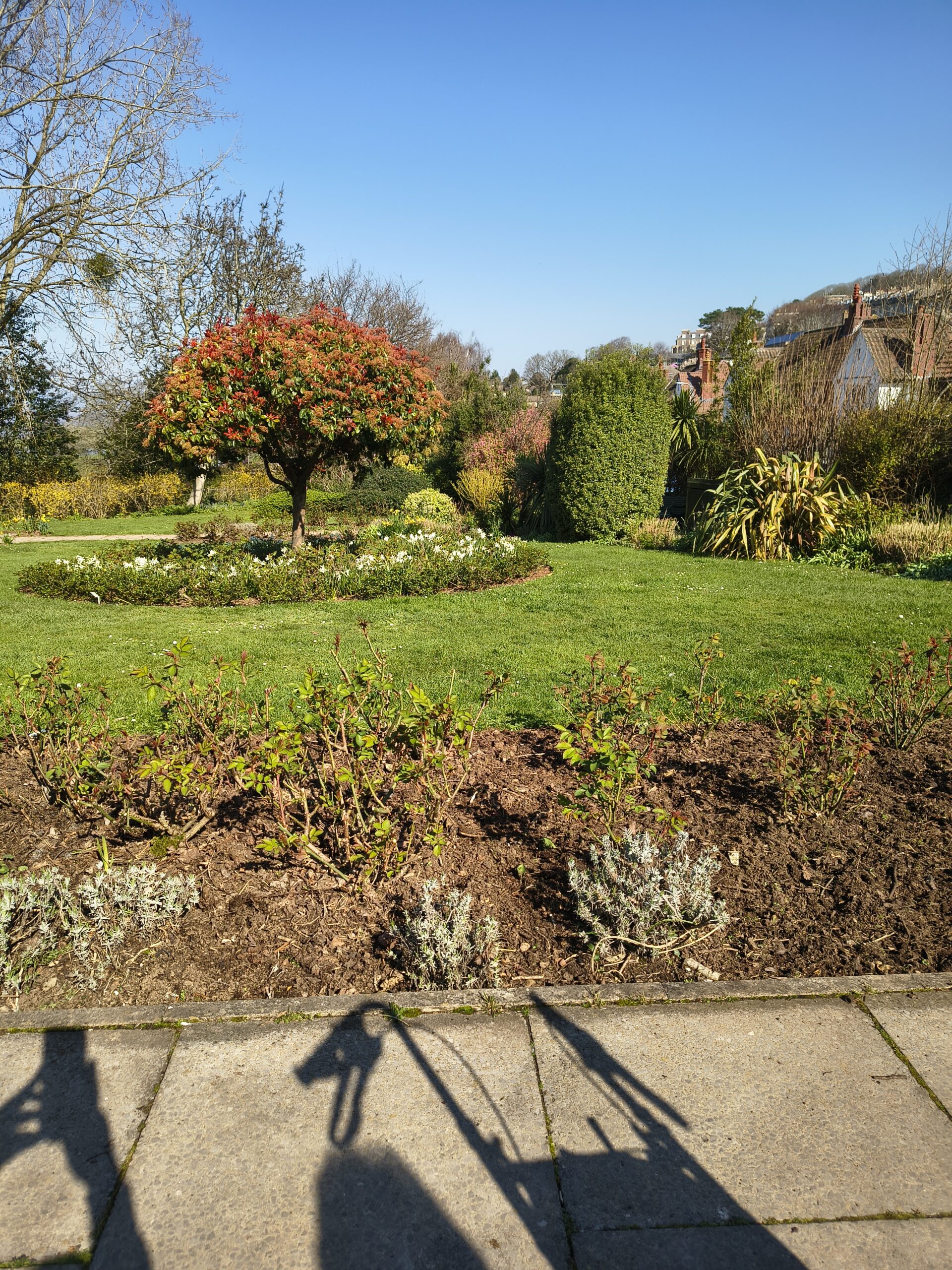 Flower beds in the park