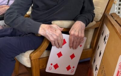 Cards, Laughter and a Little Friendly Competition at Lake View