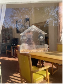 Window Bird Feeder