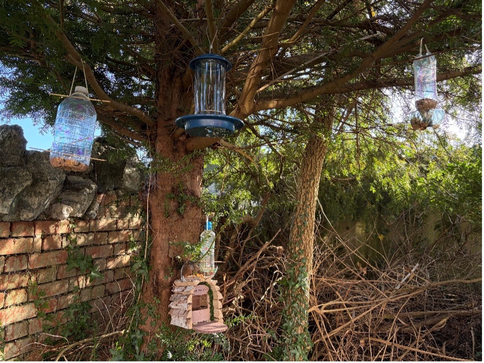 bird feeders