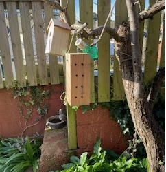 Beechmount Care Home Welcomes Spring with Wildlife Garden Initiative