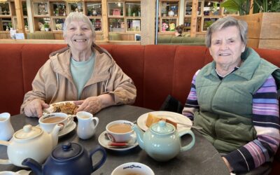 A Sunny Afternoon Trip to Homeleigh