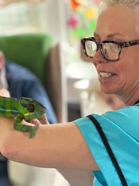 Residents Enjoy a Fascinating Visit from Reptiles and Exotics at Ashley House