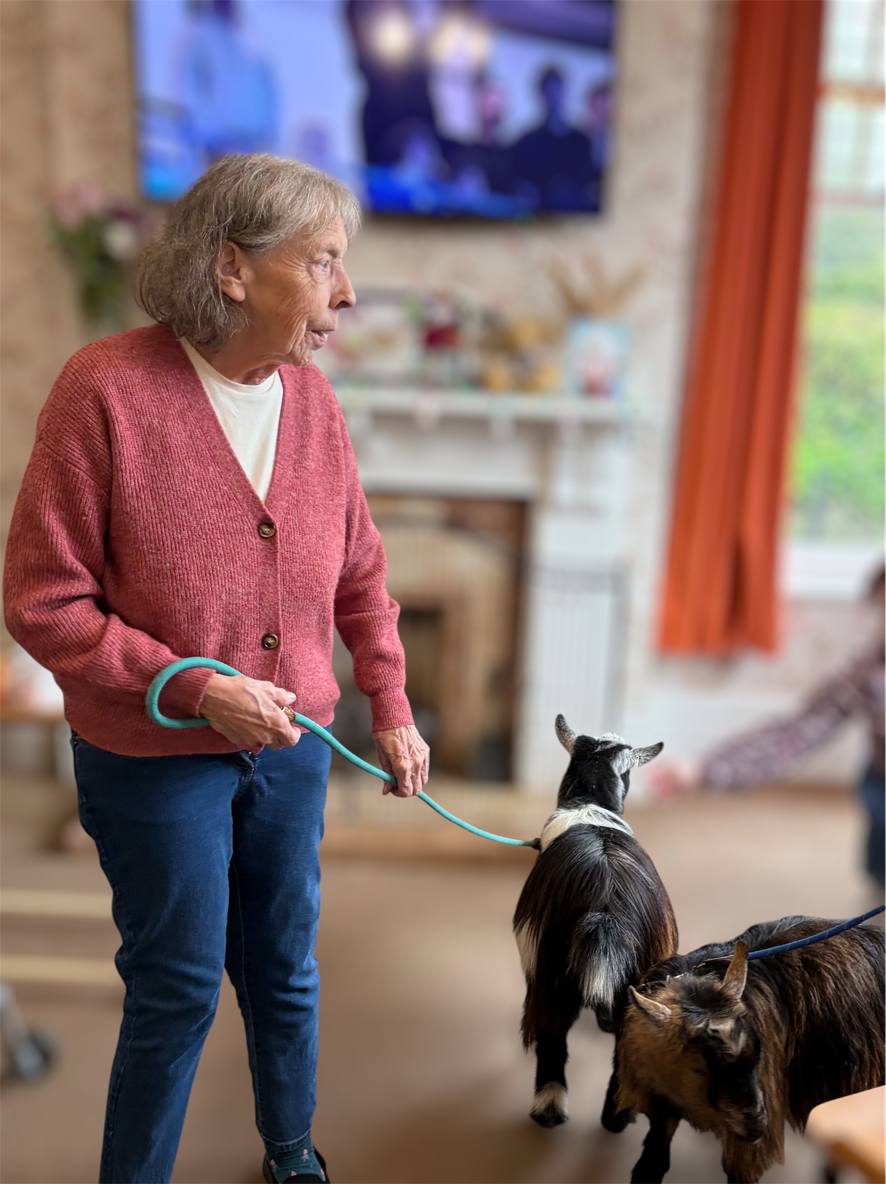 Female resident holding the lead of one pygmy goat