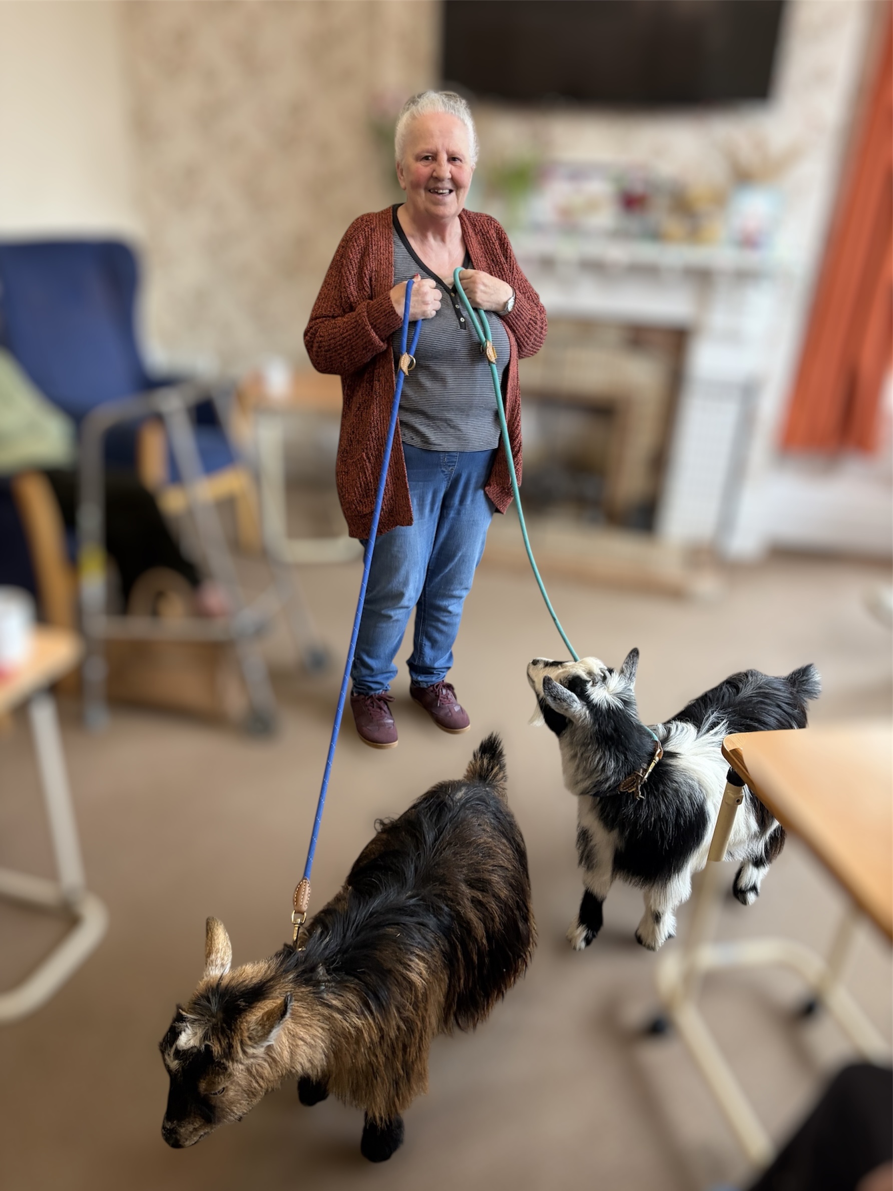 Female resident holding the leads of the pygmy goats