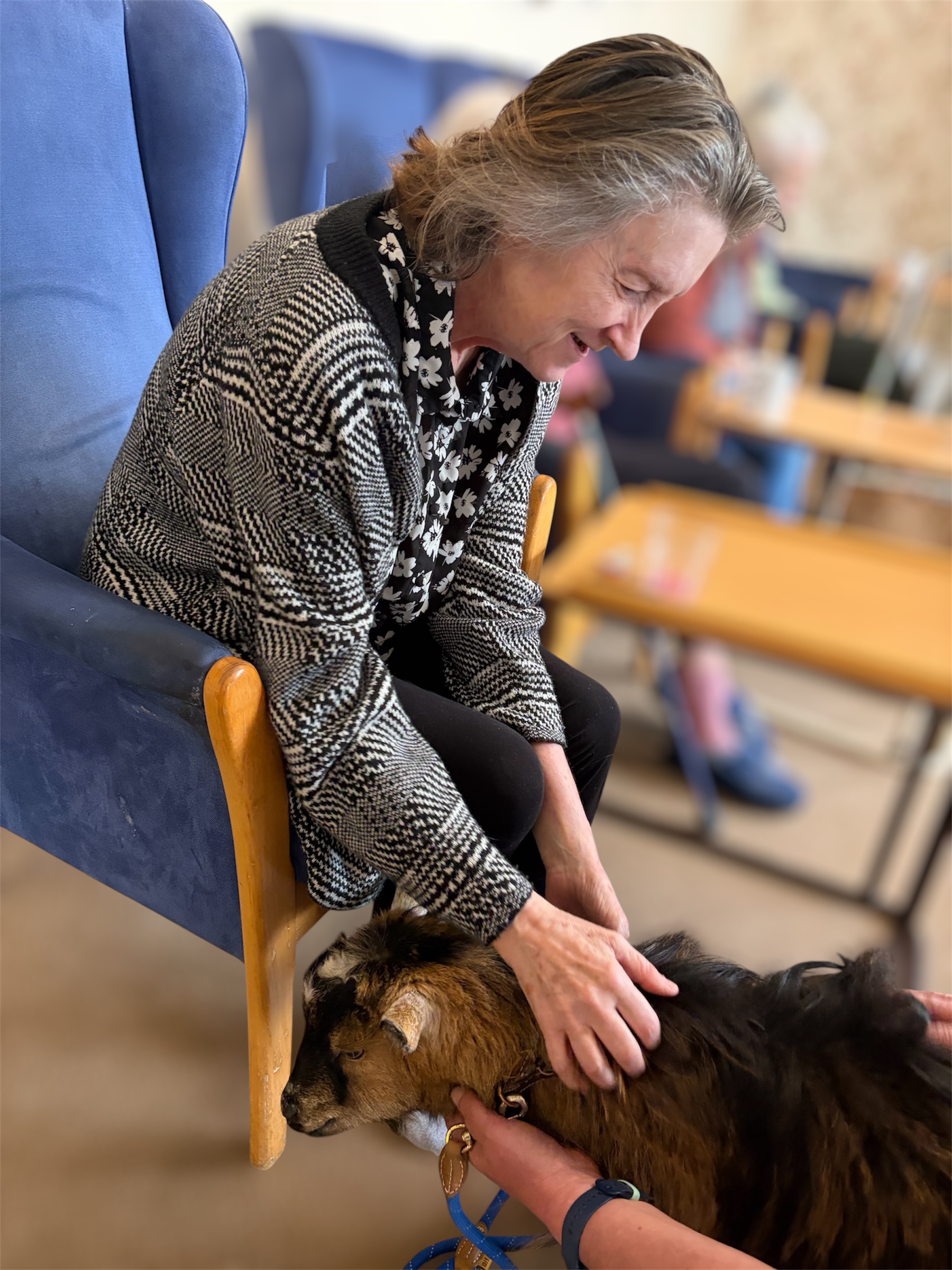 Female resident stroking brown pygmy goat