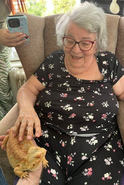 Maggie stroking a Beared Dragon