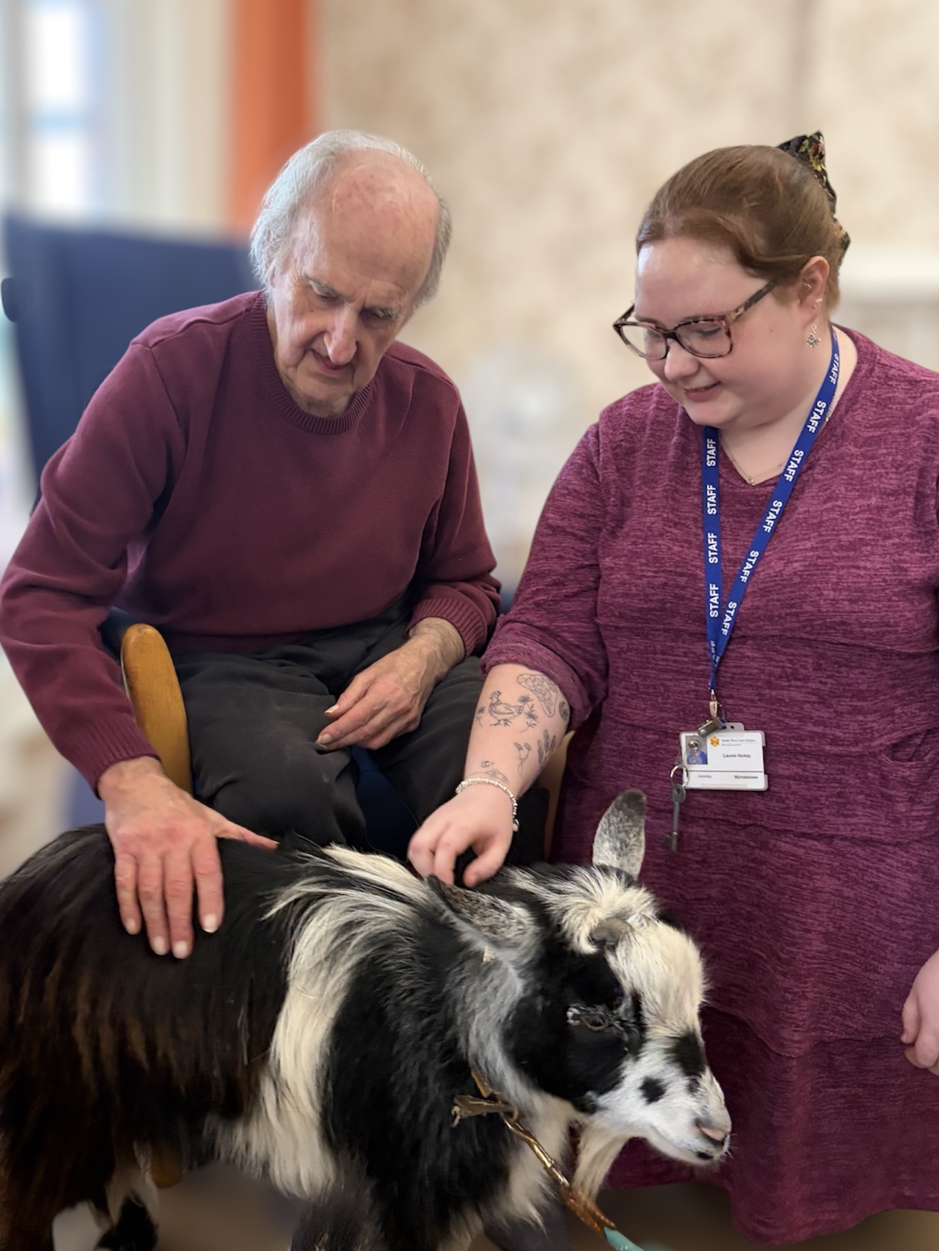Male stroking black and white pygmy goat with owner beside him