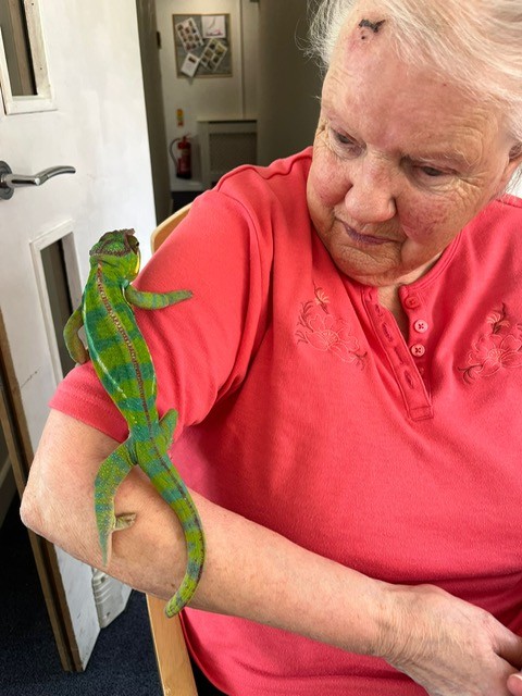 Miriam with Chameleon on her arm