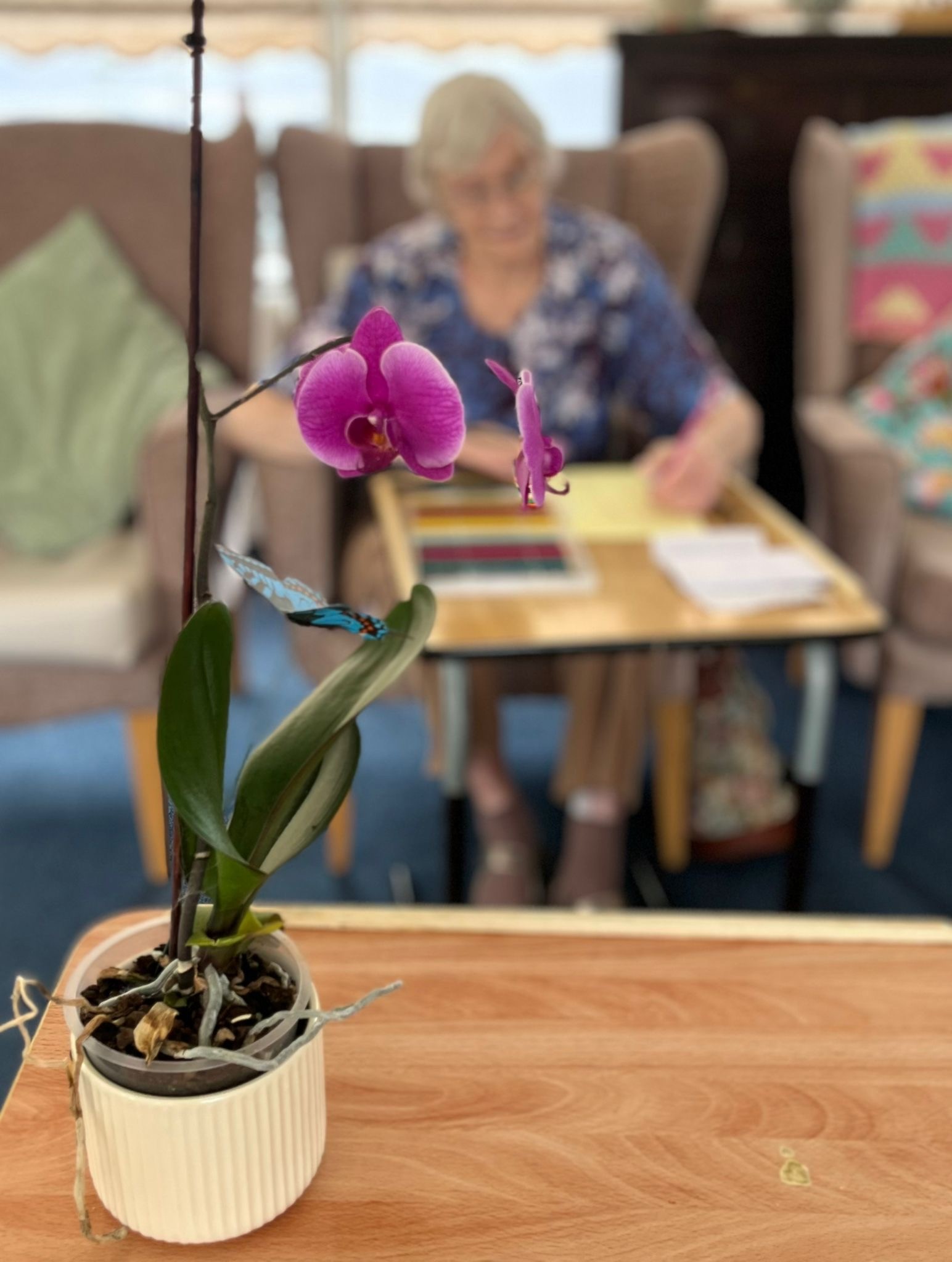 Orchid close up with Wendy drawing in the background