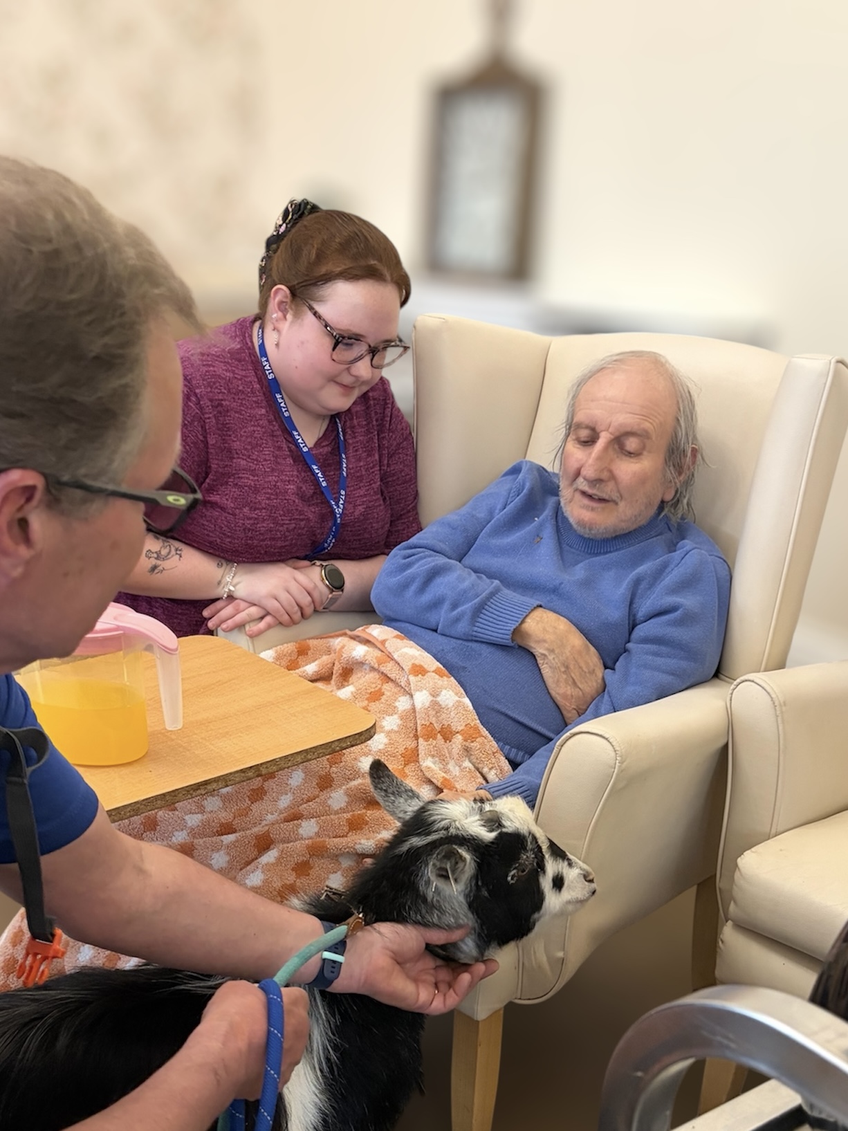 Residents stroking black and white pygmy goat