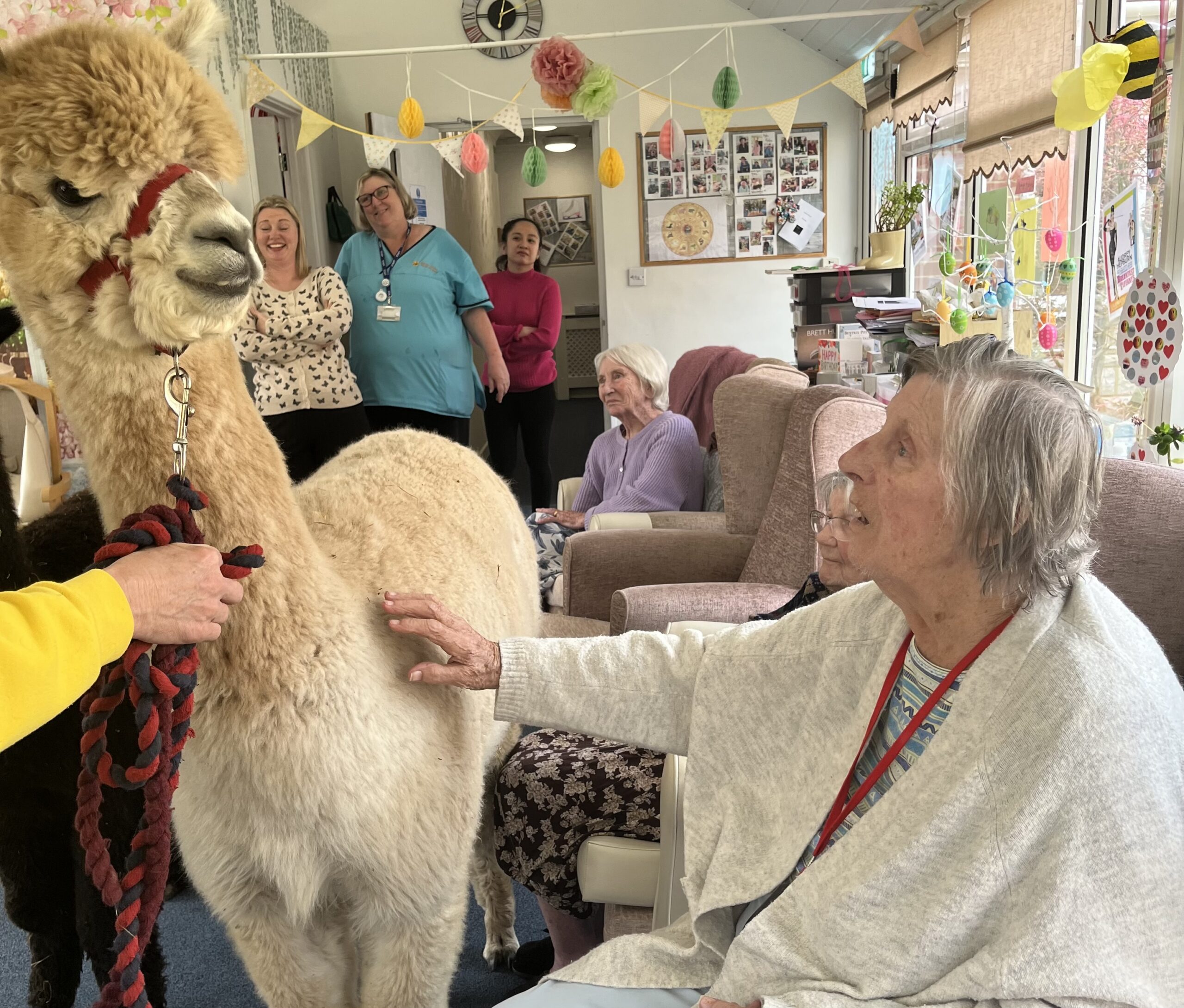 Residents with the alpacas