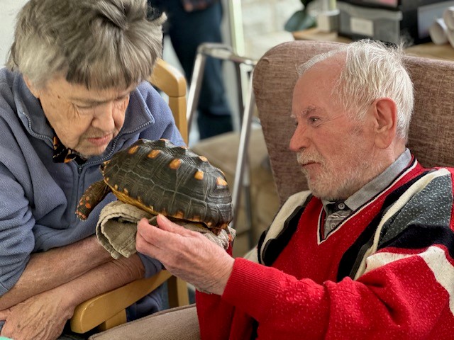 Sally looking at a tortoise while Vince holds it up to her