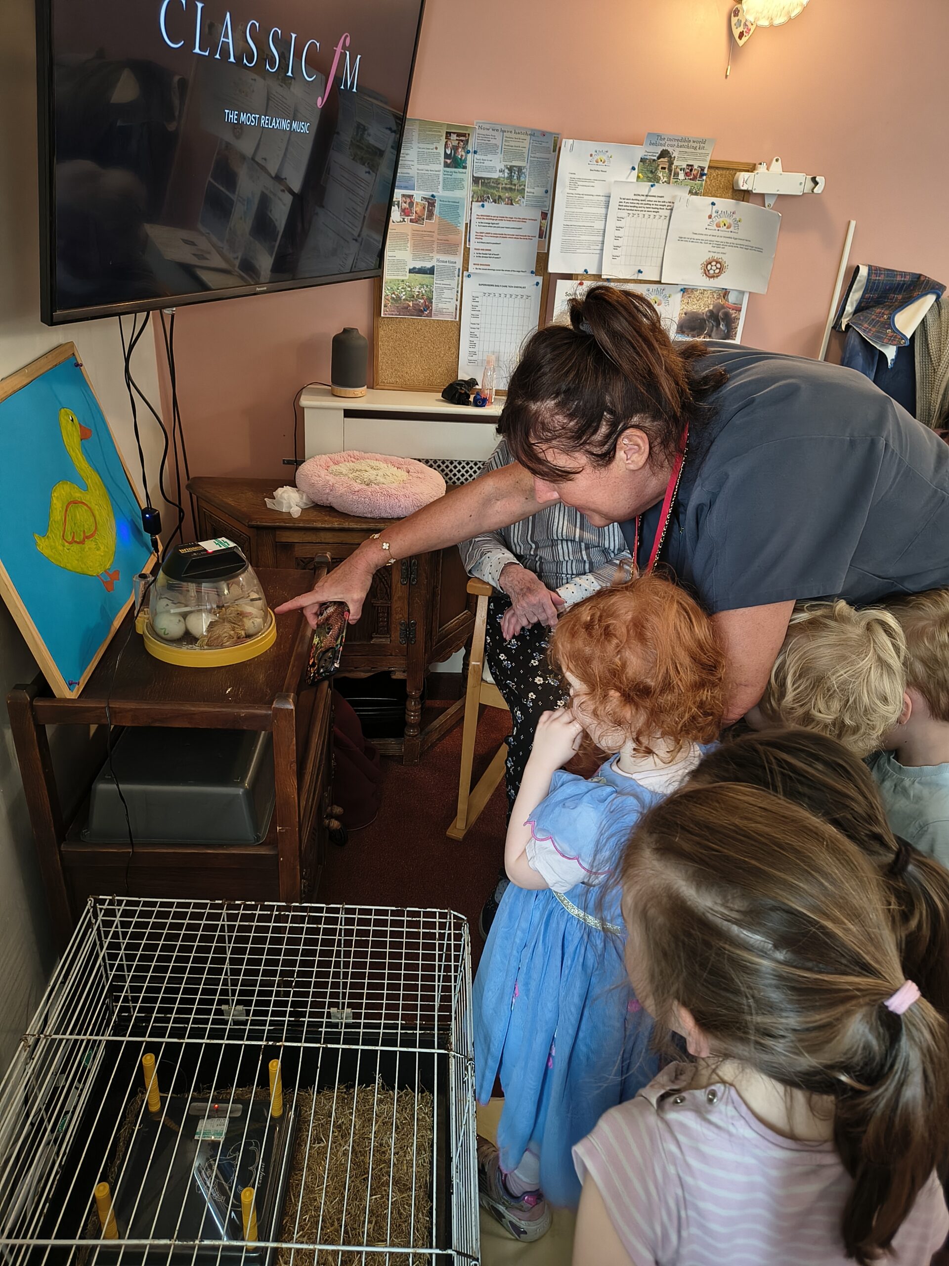 Toddlers being shown the ducklings hatching in the incubator scaled