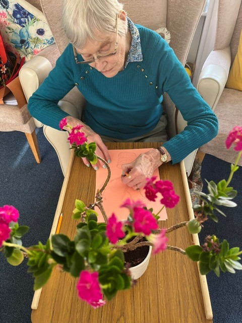 Wendy in action drawing a still life of a pot plant with cerise pink flowers