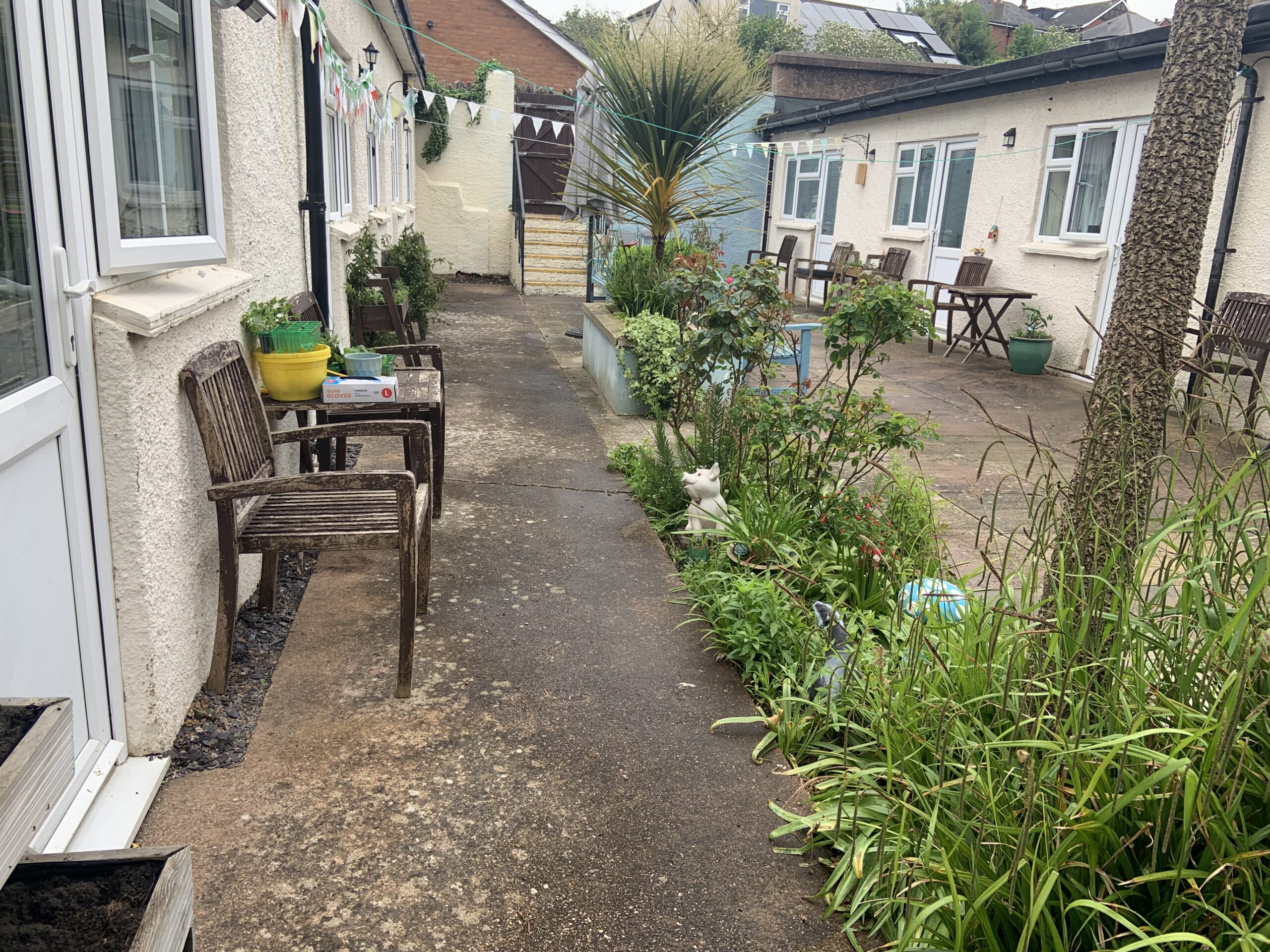 Ashfield garden with planted beds and benches