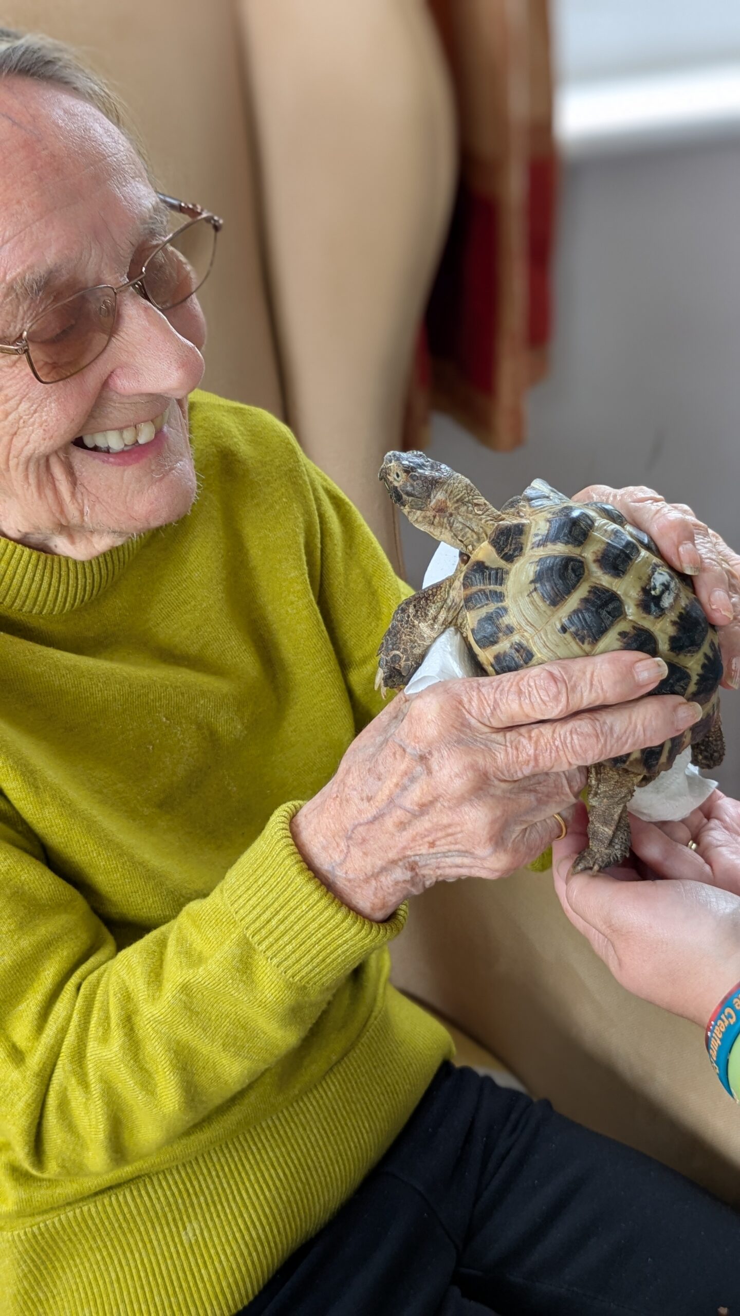 Cecily holding a tortoise looking at its face