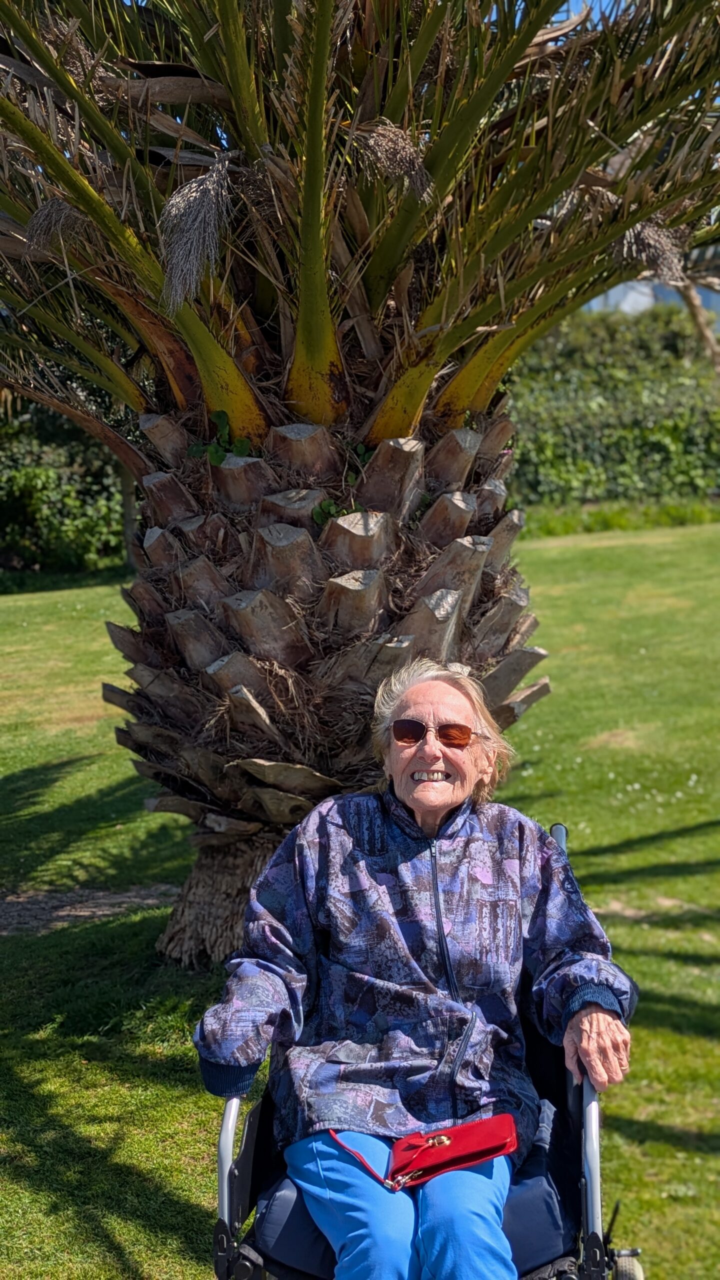 Cecily seated in her wheelchair in front of a massive palm tree
