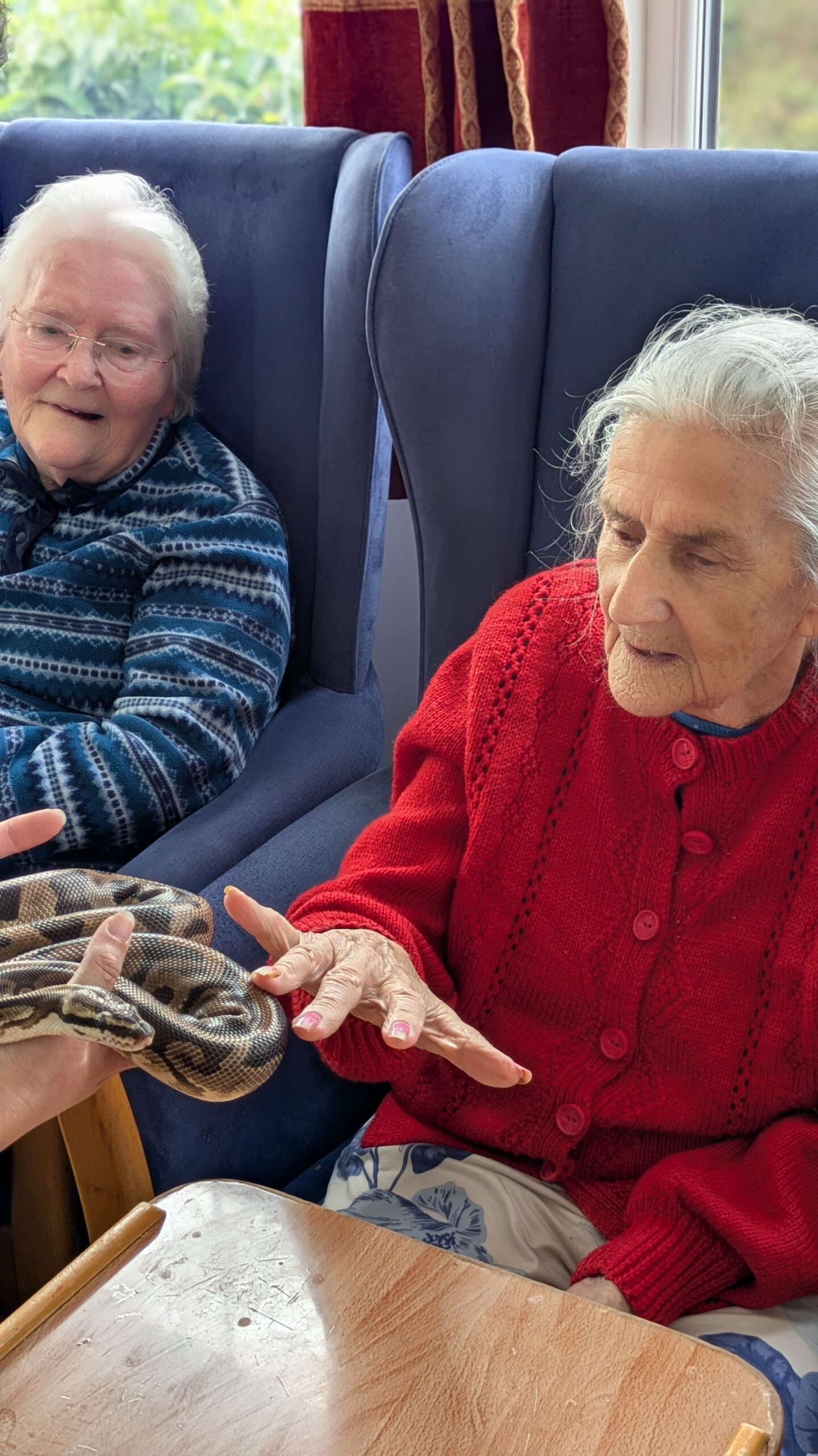 Ginny stroking a python