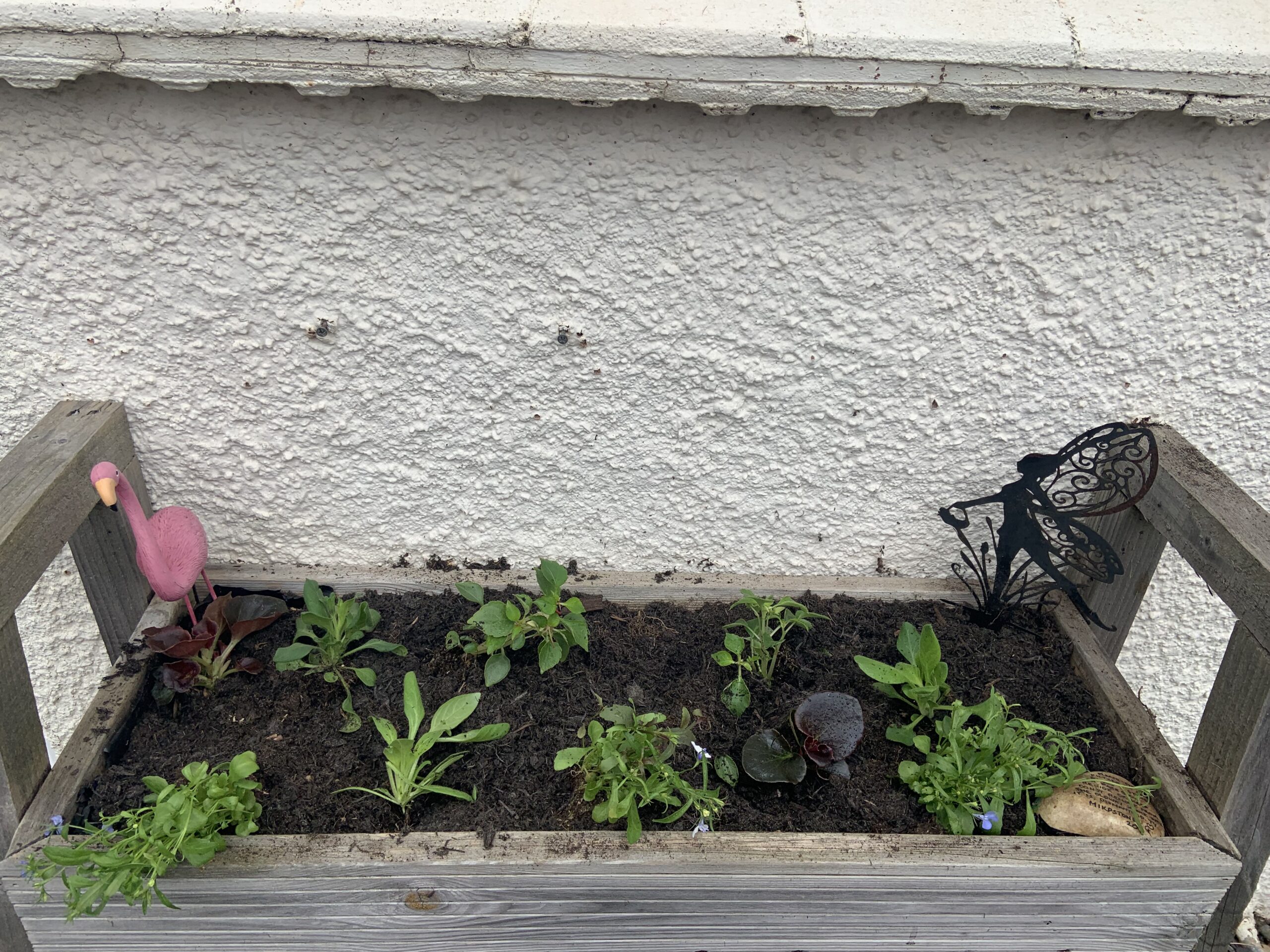 Raised bed with newly plants shrubs and a pink flamingo ornament