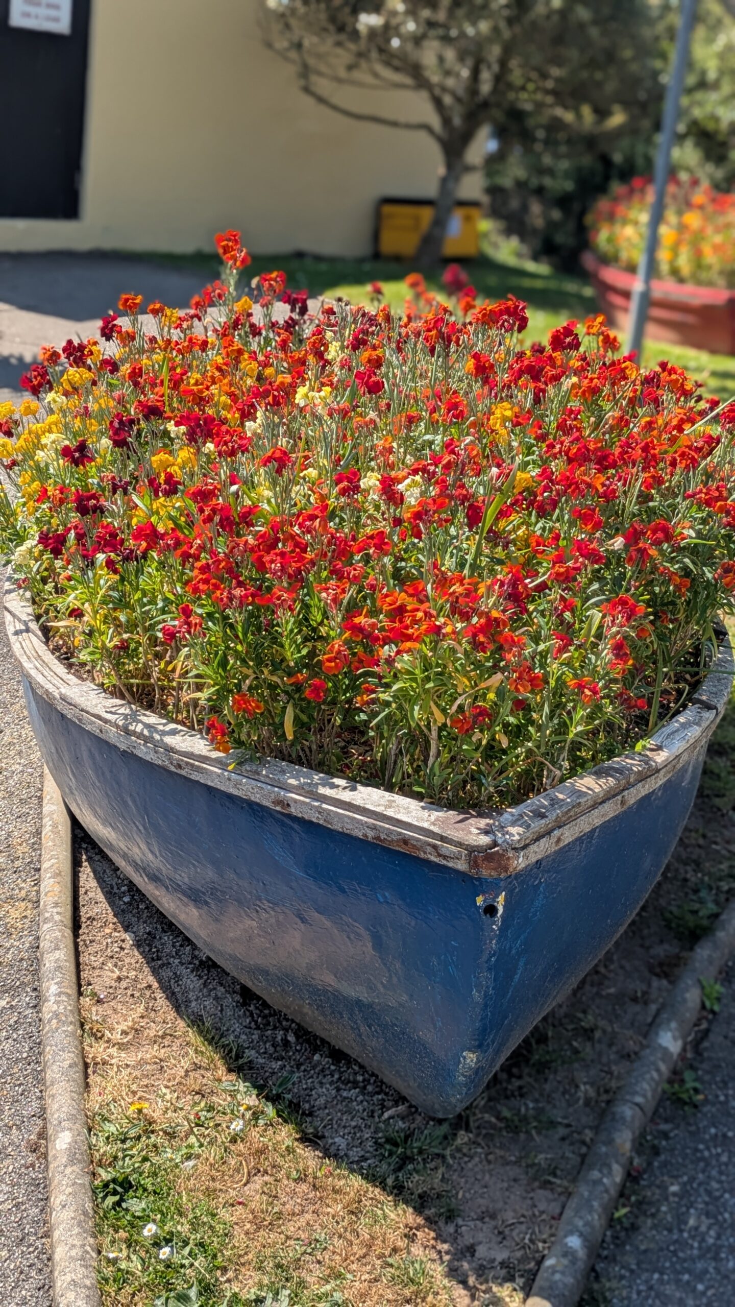 Rowing boat filled with red and orange flowers