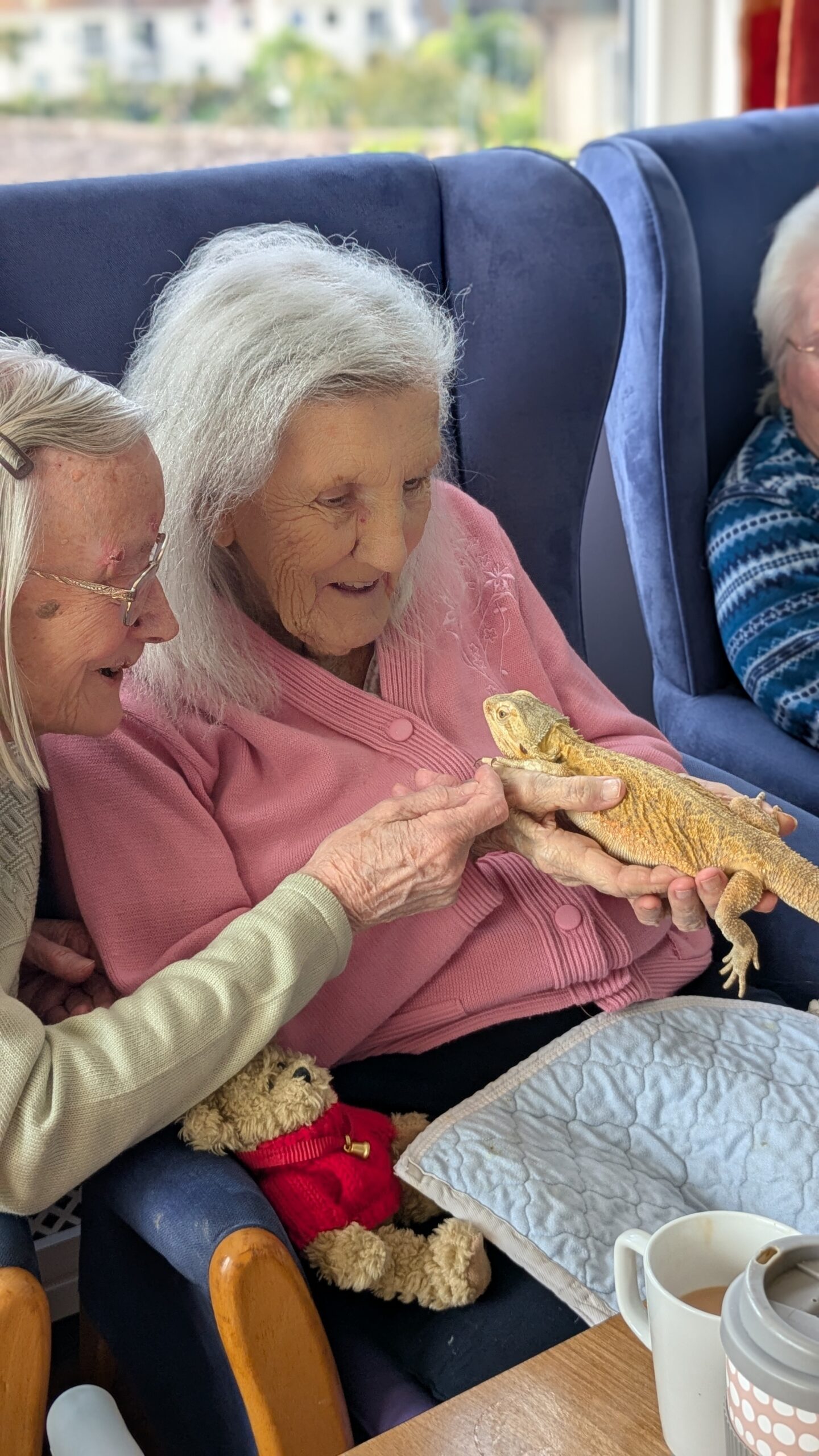 Ruth holding a bearded dragon while Wyn strokes its foot