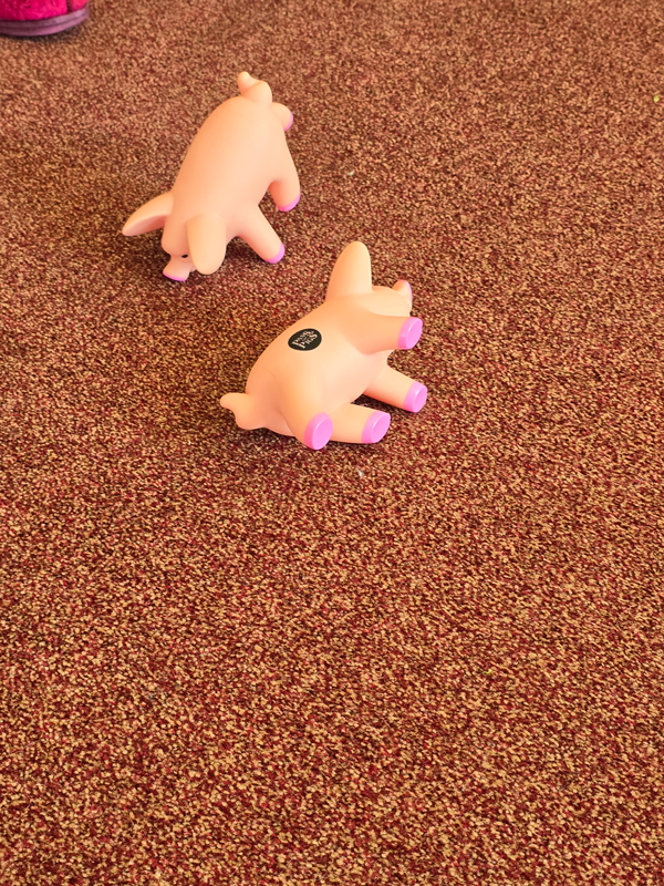 The two pigs on the floor, the only snout landing