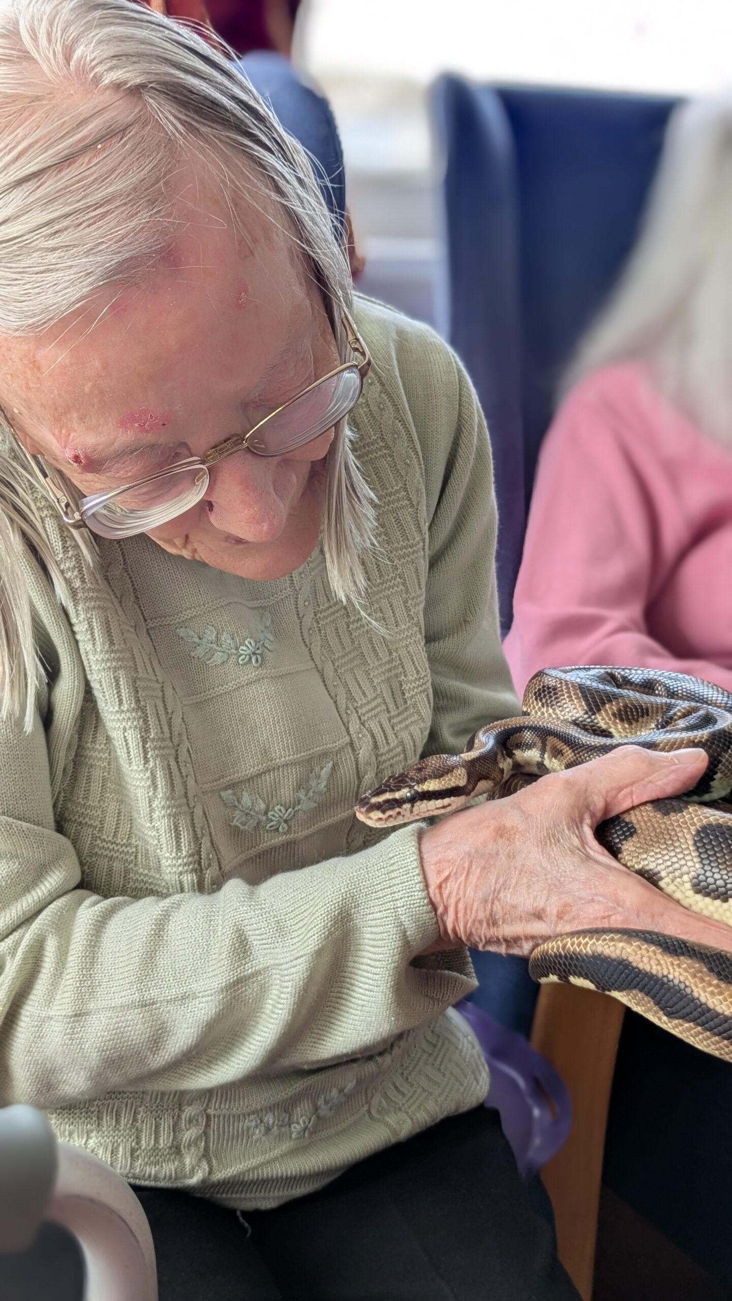 Wyn holding and looking st the face of a python