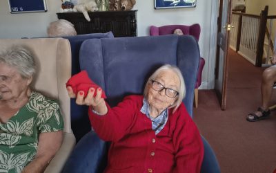 Cambrian Lodge Gets Moving with Music