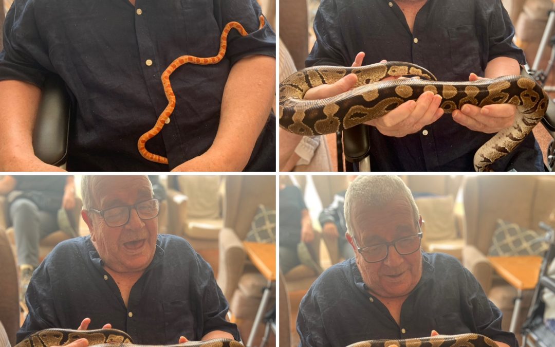 Ashfield Welcomes Some Very Special Slithery Visitors!